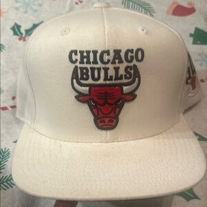 Chicago bulls